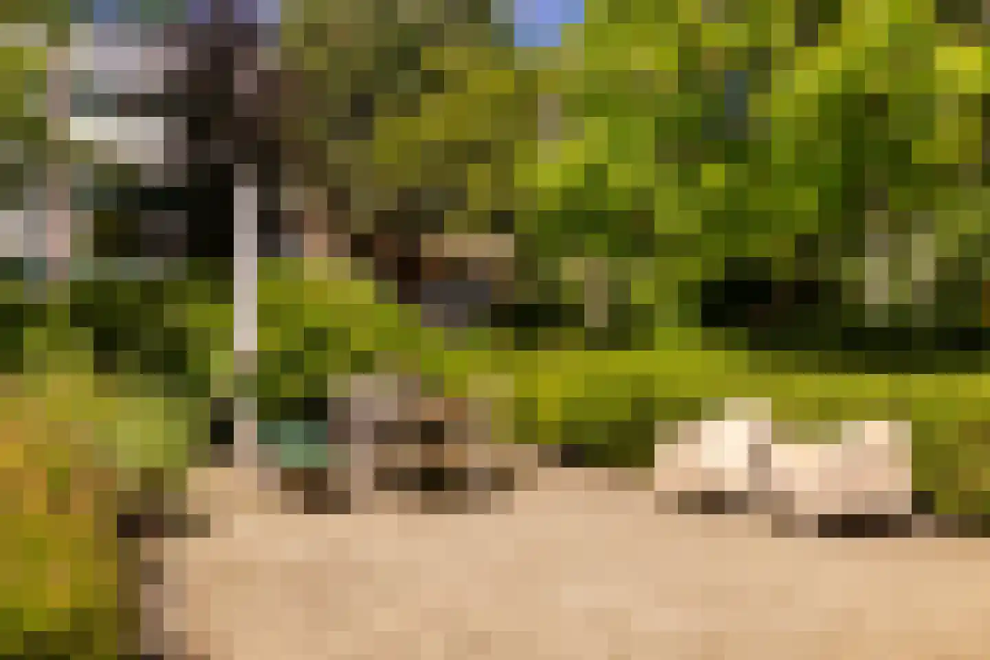 Santpoortse Dreef 44 Santpoort-Noord thumbnail 31