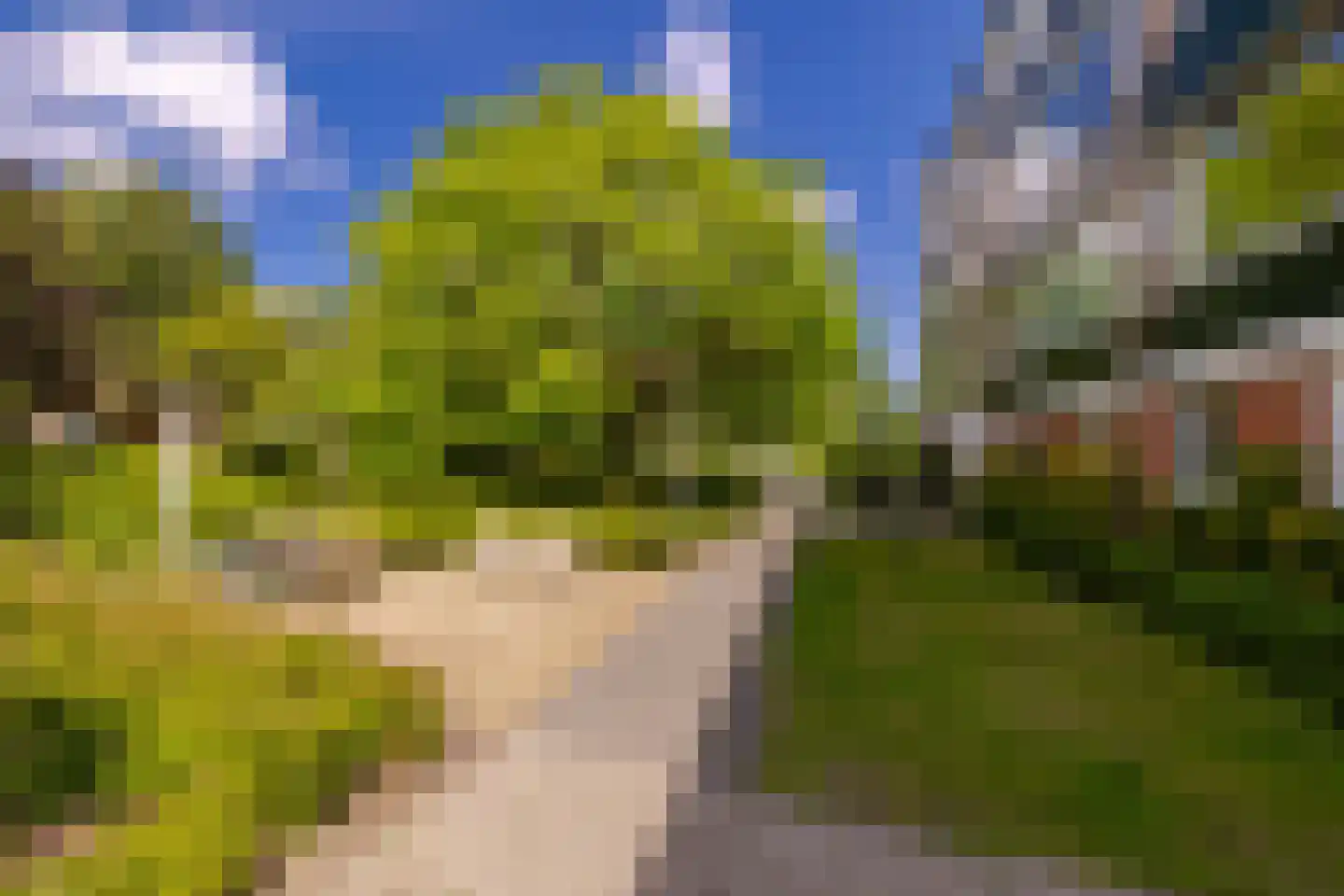 Santpoortse Dreef 44 Santpoort-Noord thumbnail 32