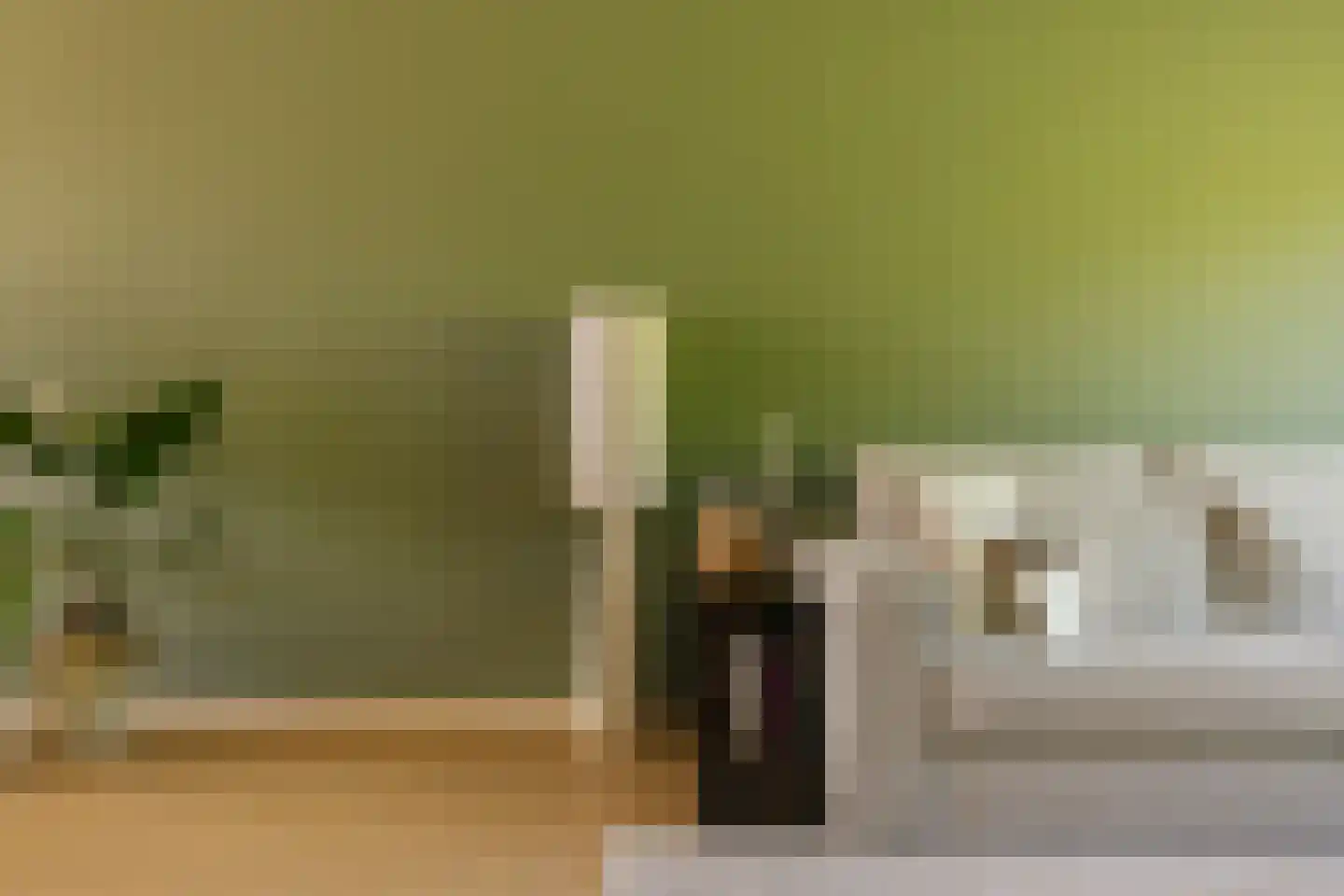 Santpoortse Dreef 44 Santpoort-Noord thumbnail 5