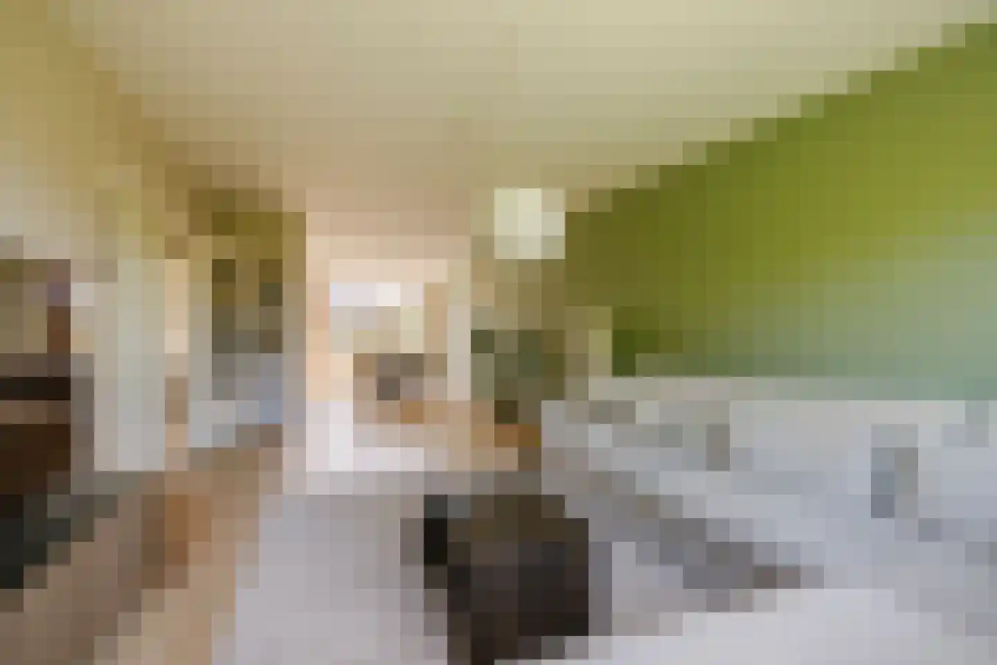 Santpoortse Dreef 44 Santpoort-Noord thumbnail 7