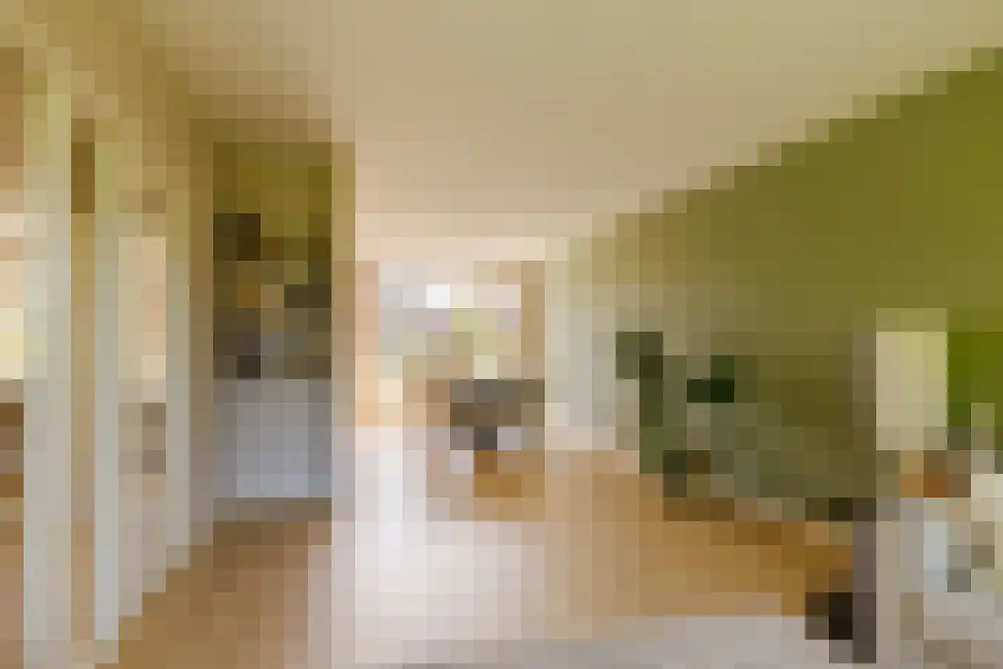 Santpoortse Dreef 44 Santpoort-Noord thumbnail 8