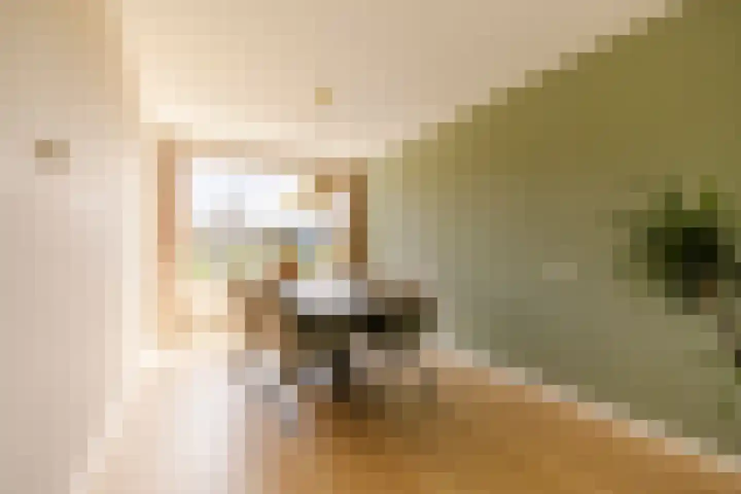 Santpoortse Dreef 44 Santpoort-Noord thumbnail 9