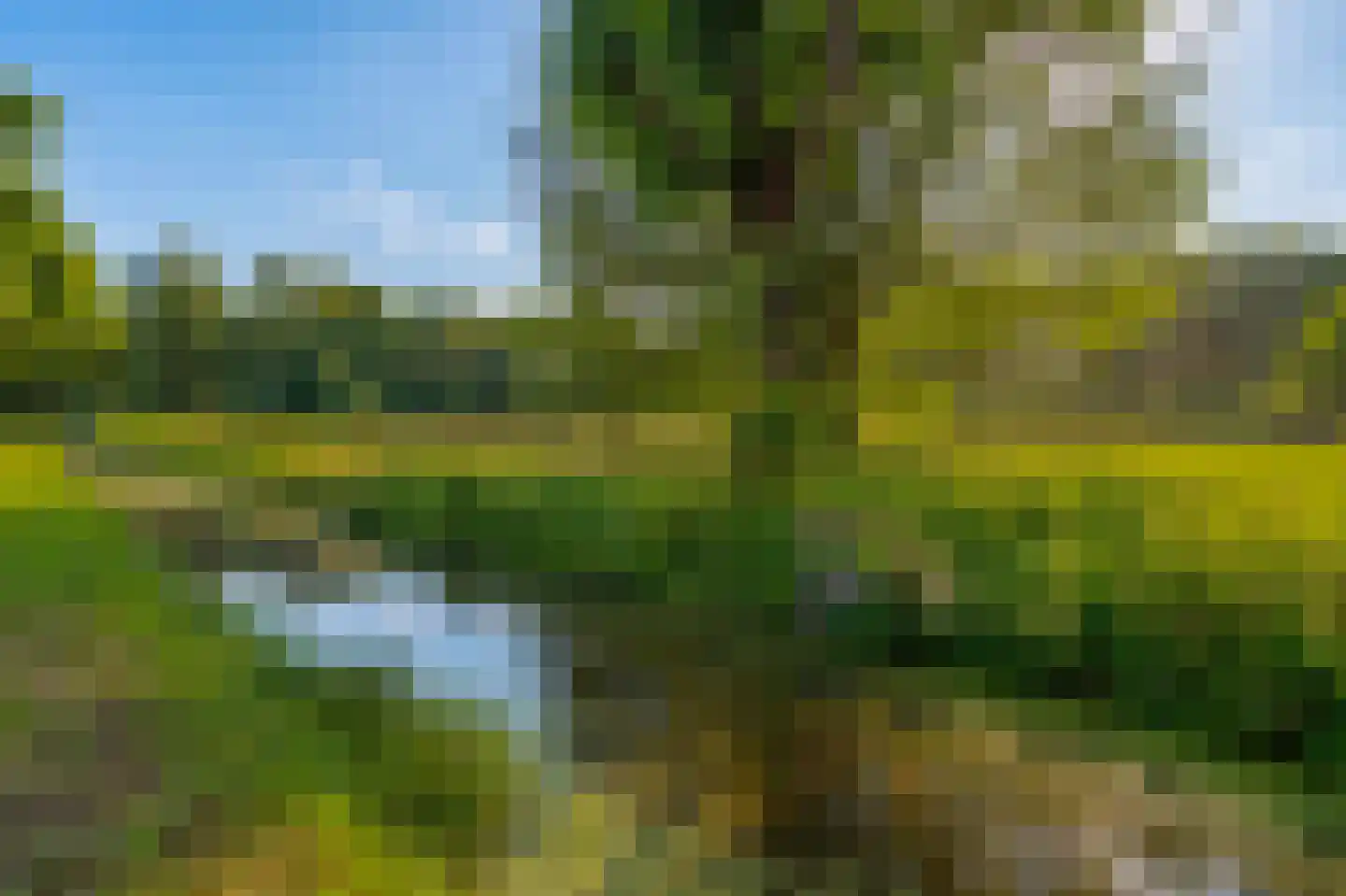 Santpoortse Dreef 72 Santpoort-Noord thumbnail 19