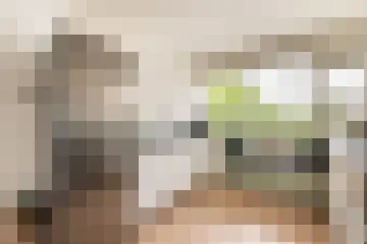 Santpoortse Dreef 86 Santpoort-Noord thumbnail 12