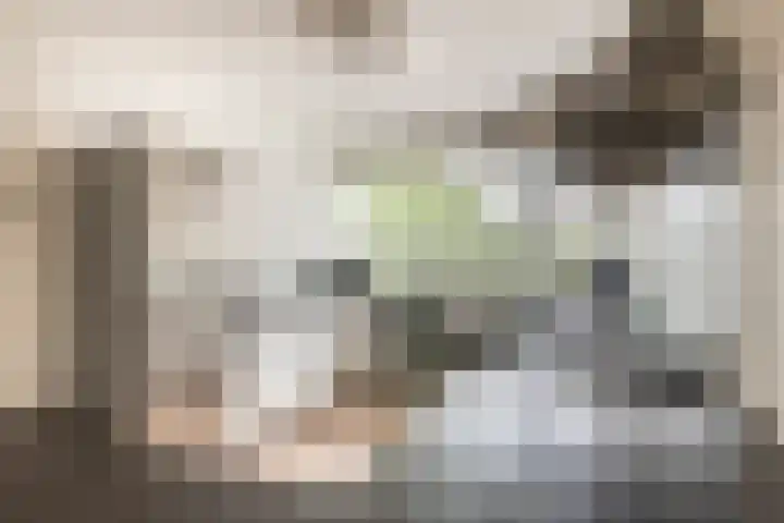 Santpoortse Dreef 86 Santpoort-Noord thumbnail 13