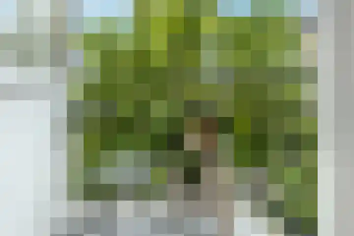 Santpoortse Dreef 86 Santpoort-Noord thumbnail 14