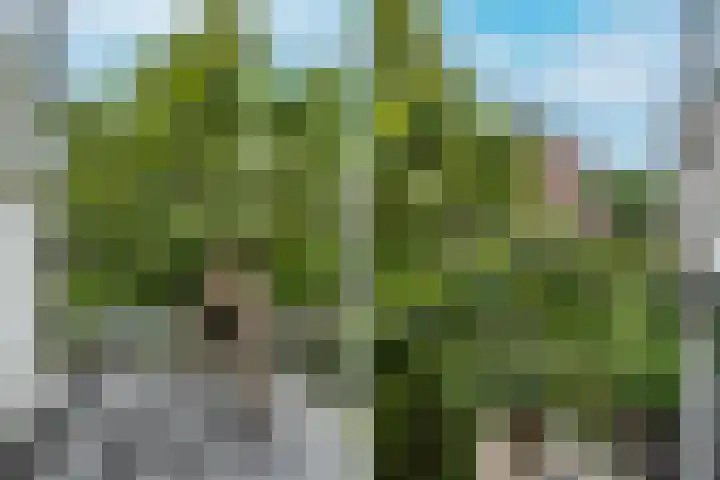 Santpoortse Dreef 86 Santpoort-Noord thumbnail 15