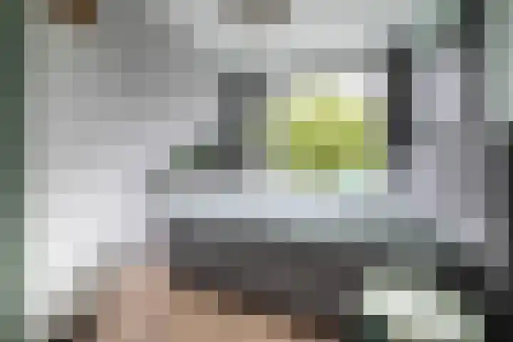 Santpoortse Dreef 86 Santpoort-Noord thumbnail 16