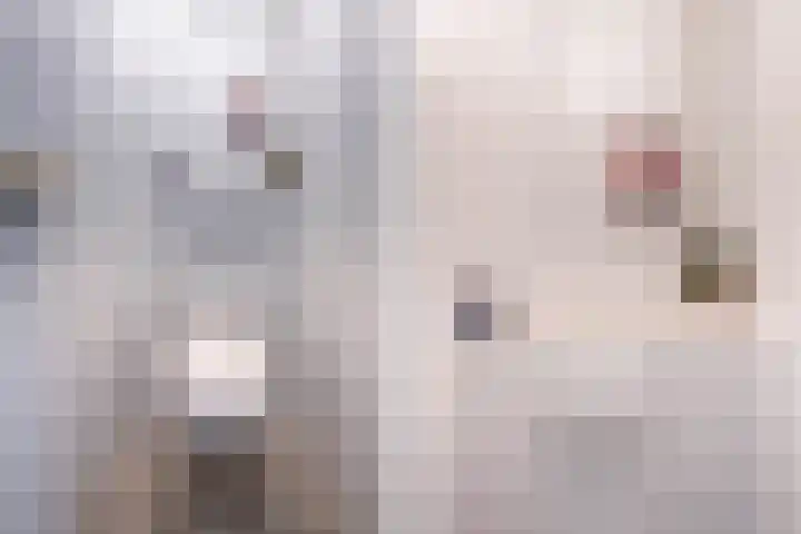 Santpoortse Dreef 86 Santpoort-Noord thumbnail 23