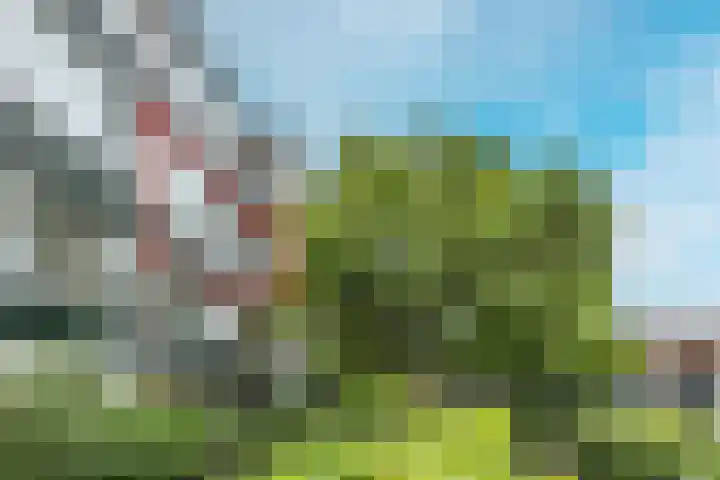 Santpoortse Dreef 86 Santpoort-Noord thumbnail 28