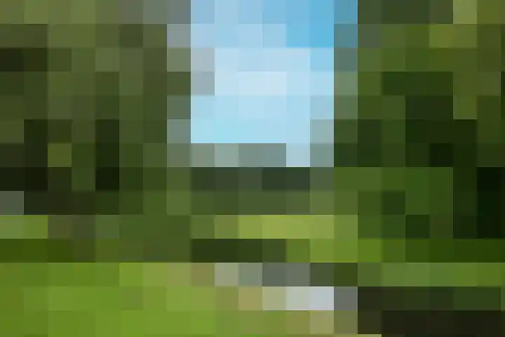 Santpoortse Dreef 86 Santpoort-Noord thumbnail 29