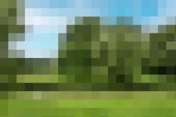 Santpoortse Dreef 86 Santpoort-Noord thumbnail 31