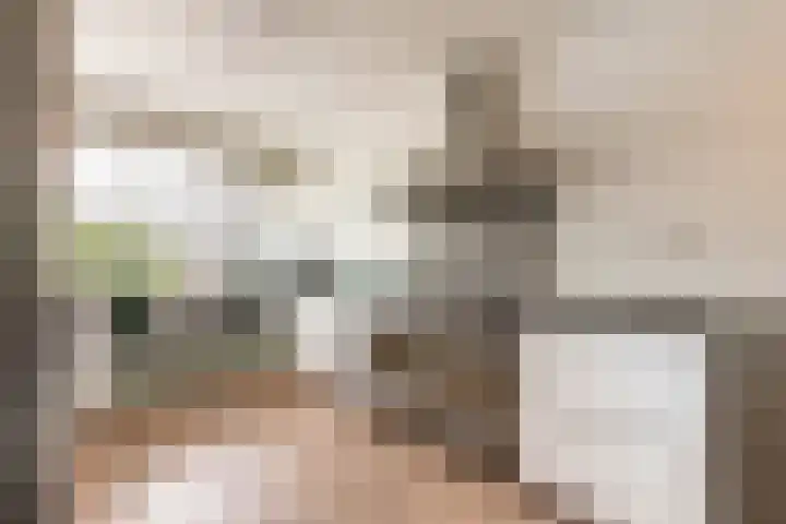 Santpoortse Dreef 86 Santpoort-Noord thumbnail 9