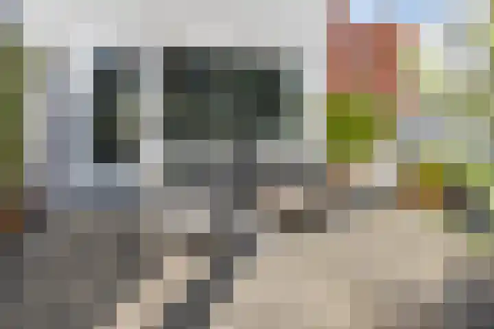 Santrijnhof 103 Oosterhout thumbnail 19
