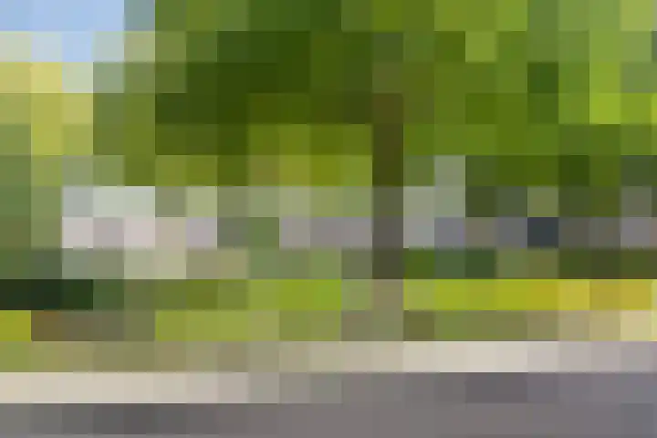 Santrijnhof 103 Oosterhout thumbnail 22