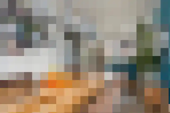 Santrijnhof 121 Oosterhout thumbnail 24