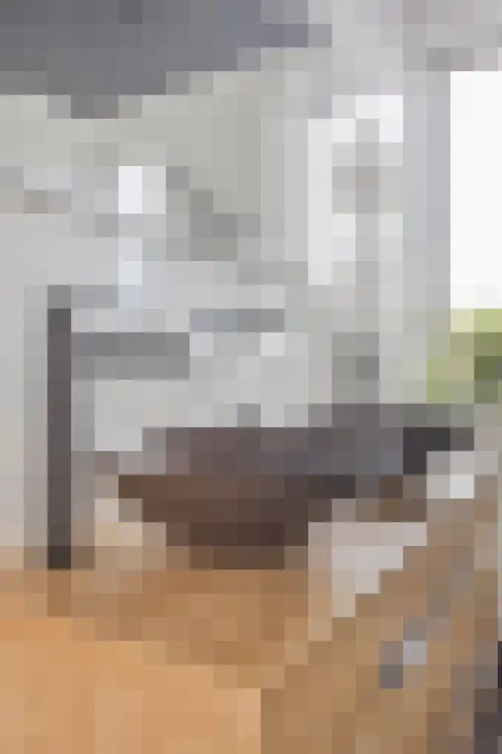 Santrijnhof 121 Oosterhout thumbnail 36