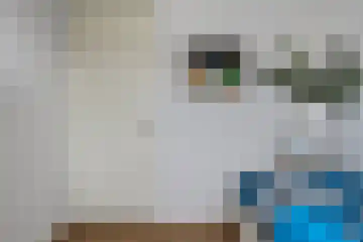 Santrijnhof 121 Oosterhout thumbnail 42