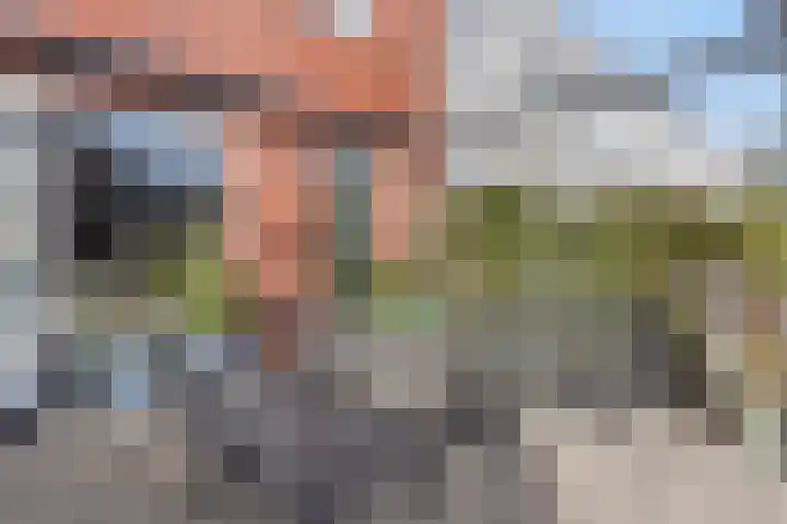 Santrijnhof 121 Oosterhout thumbnail 43