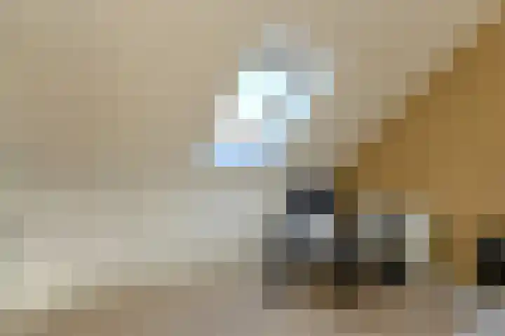Santrijnhof 16 Oosterhout thumbnail 38