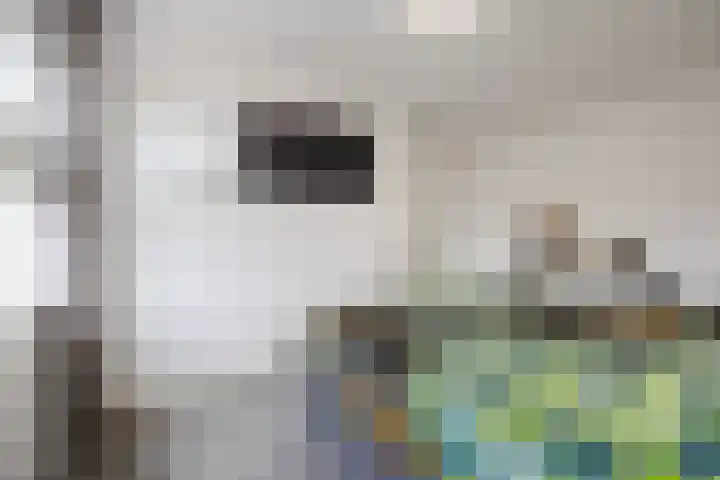 Santrijnhof 24 Oosterhout thumbnail 23