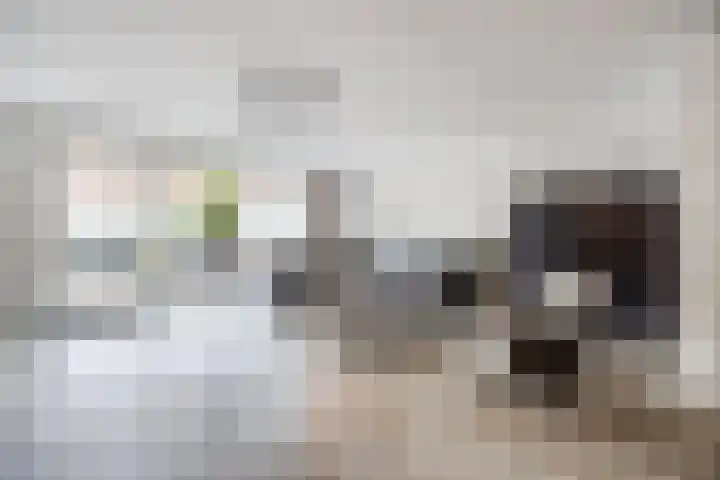 Santrijnhof 24 Oosterhout thumbnail 4