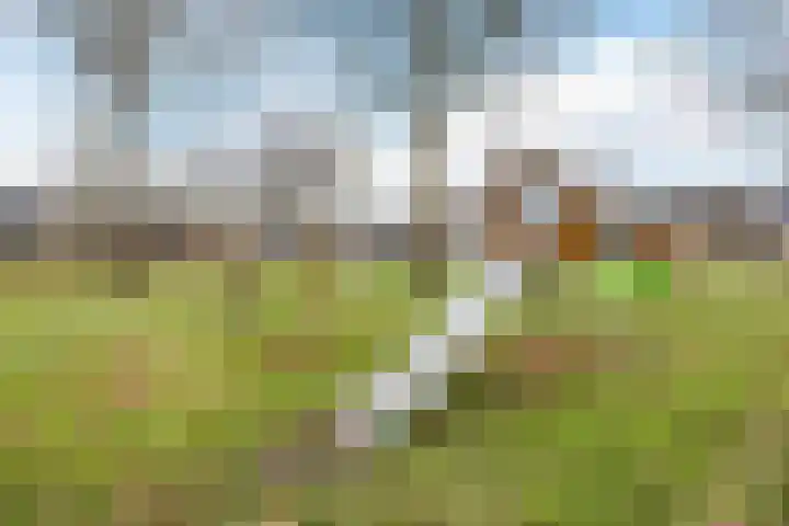 Santrijnhof 24 Oosterhout thumbnail 49