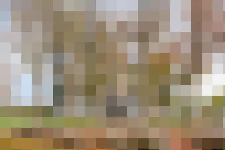 Santrijnpark 132 Oosterhout thumbnail 24