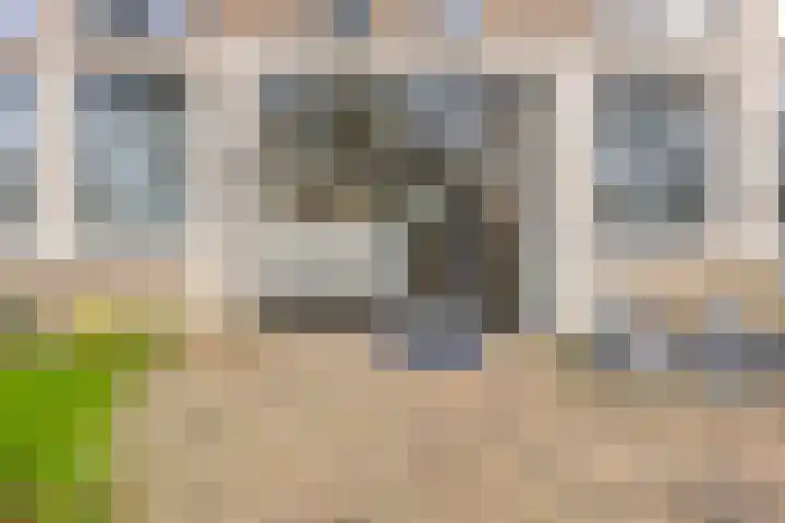 Santrijnpark 132 Oosterhout thumbnail 4