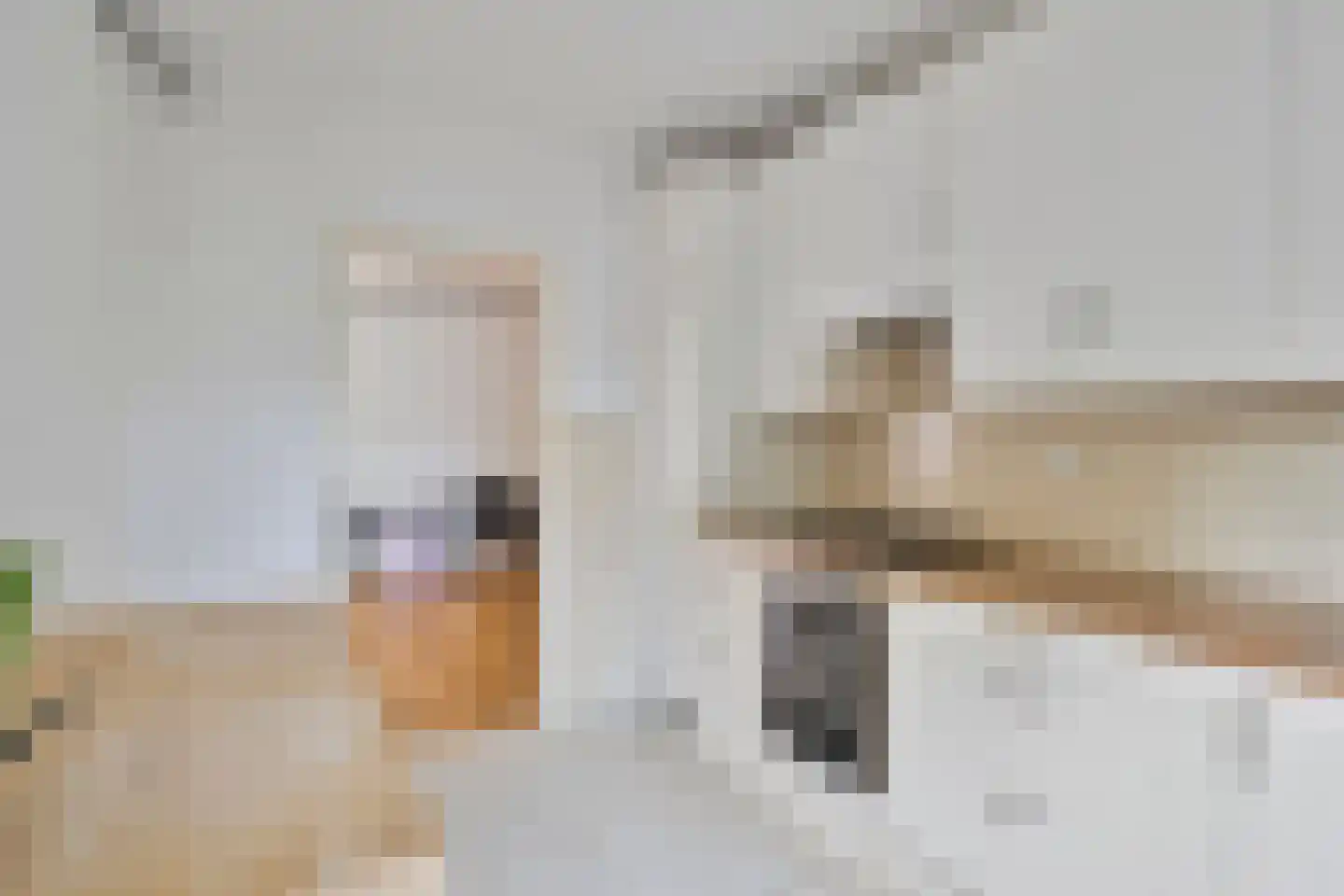 Saônelaan 9 Eindhoven thumbnail 19