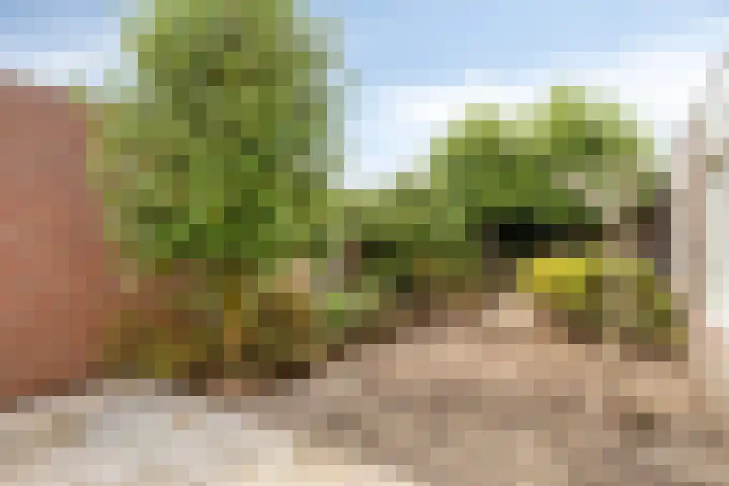Saônelaan 9 Eindhoven thumbnail 30