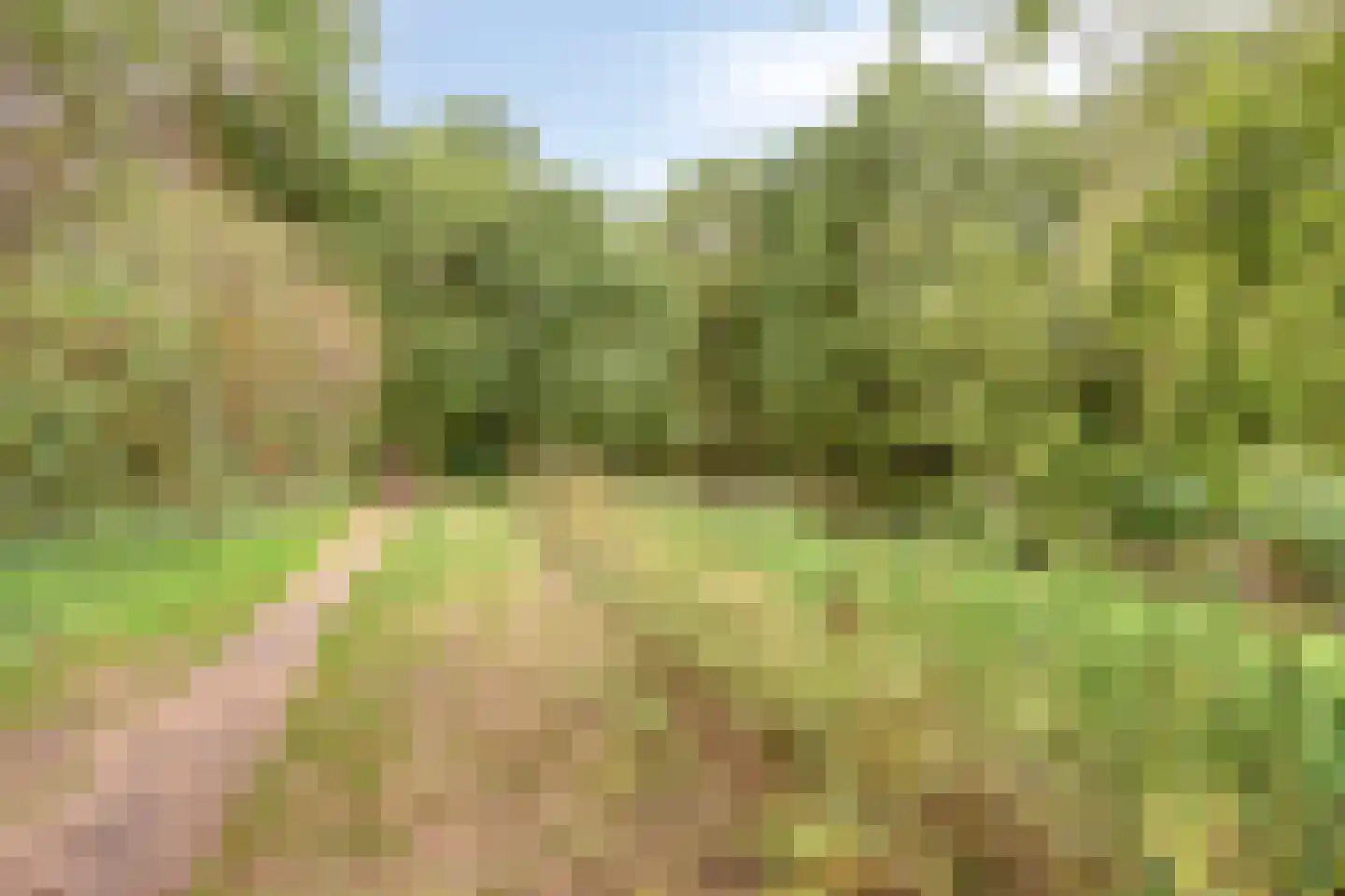 Saônelaan 9 Eindhoven thumbnail 35