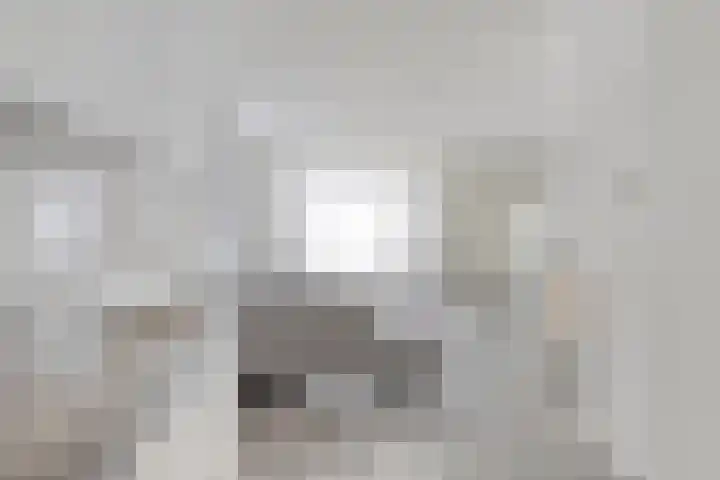 Saparua 77 Barneveld thumbnail 10