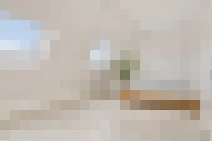 Saparua 77 Barneveld thumbnail 19