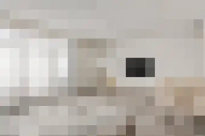 Saparua 77 Barneveld thumbnail 6