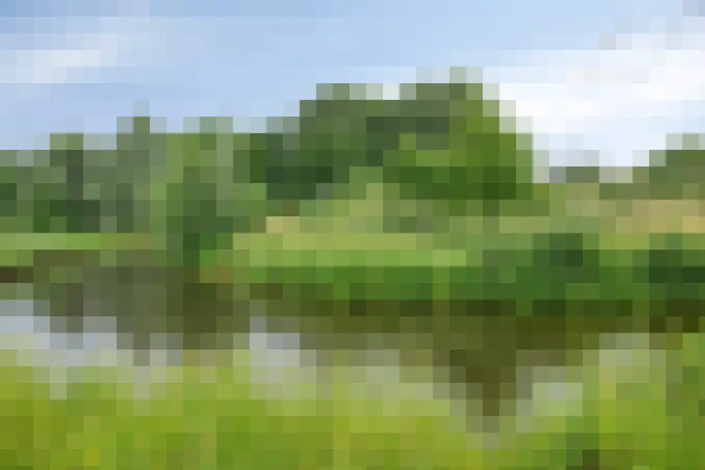 Saparua 85 Barneveld thumbnail 28