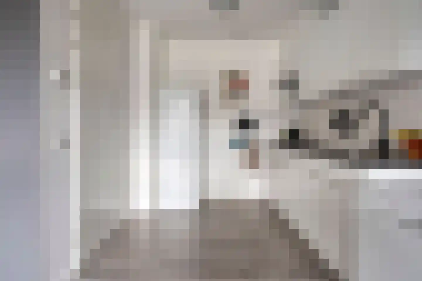 Saparua 85 Barneveld thumbnail 8