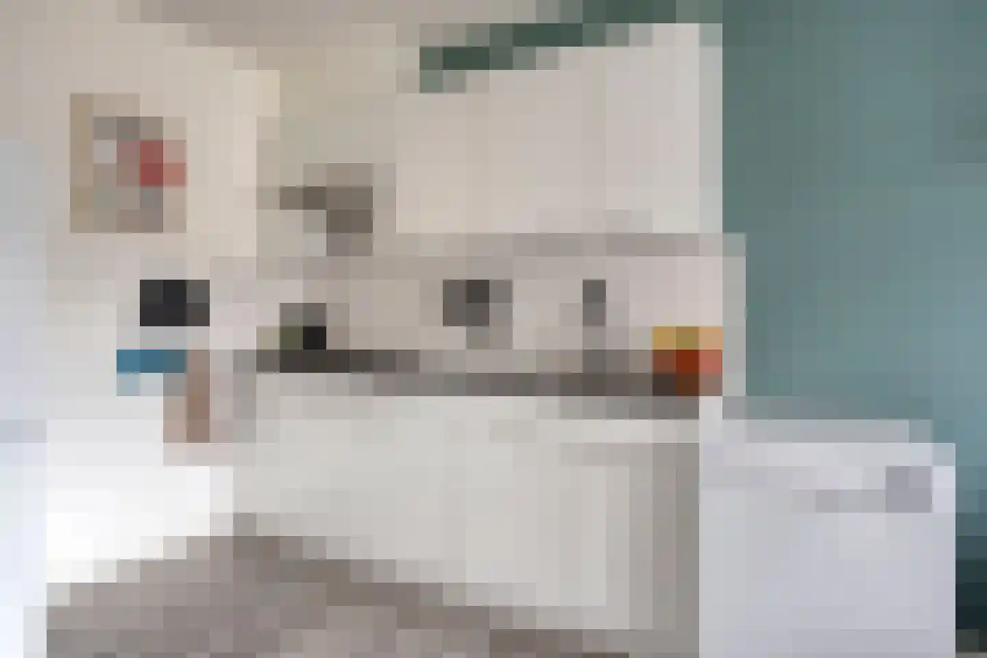 Saparua 85 Barneveld thumbnail 9