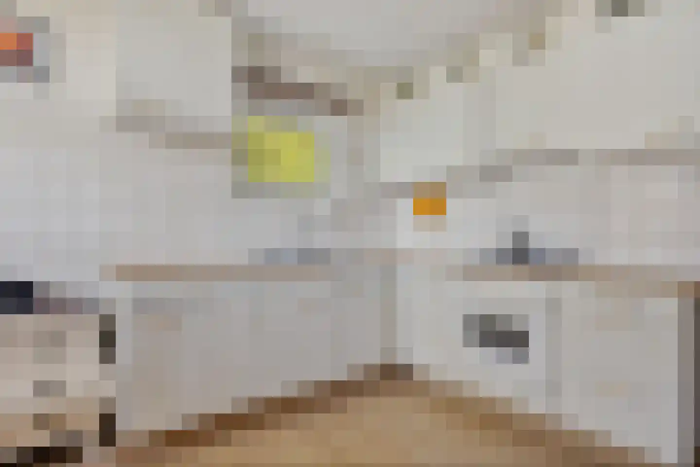 Sappemeersterweg 25 Noordbroek thumbnail 13