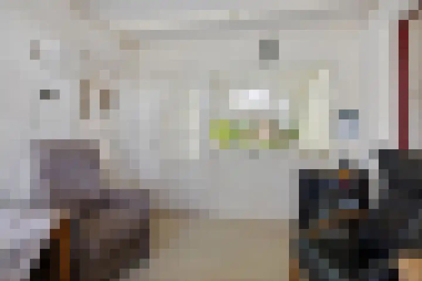 Sappemeersterweg 25 Noordbroek thumbnail 17