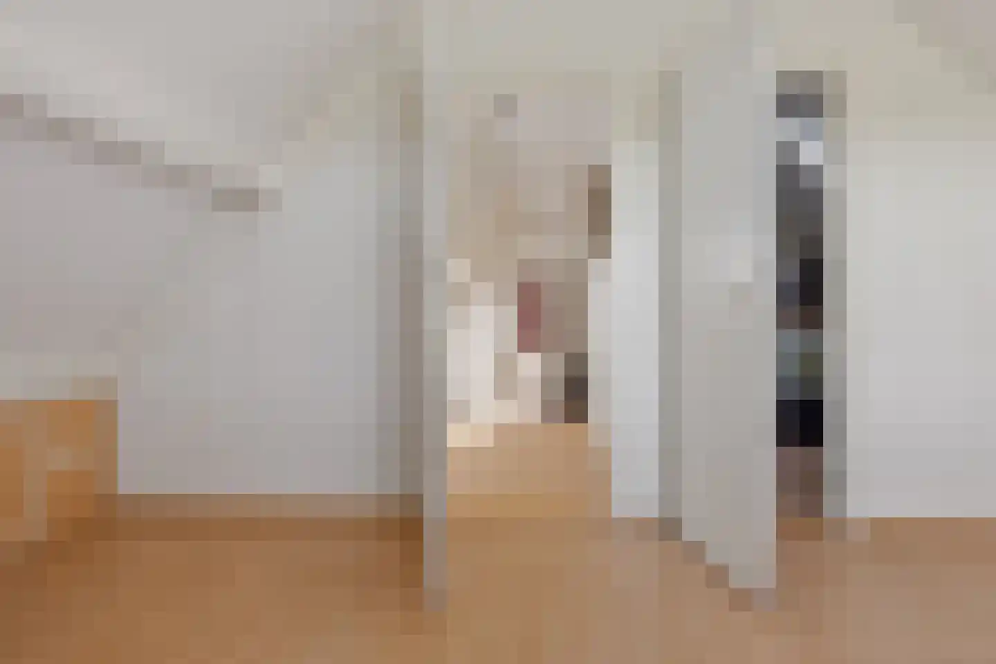Sappemeersterweg 25 Noordbroek thumbnail 34