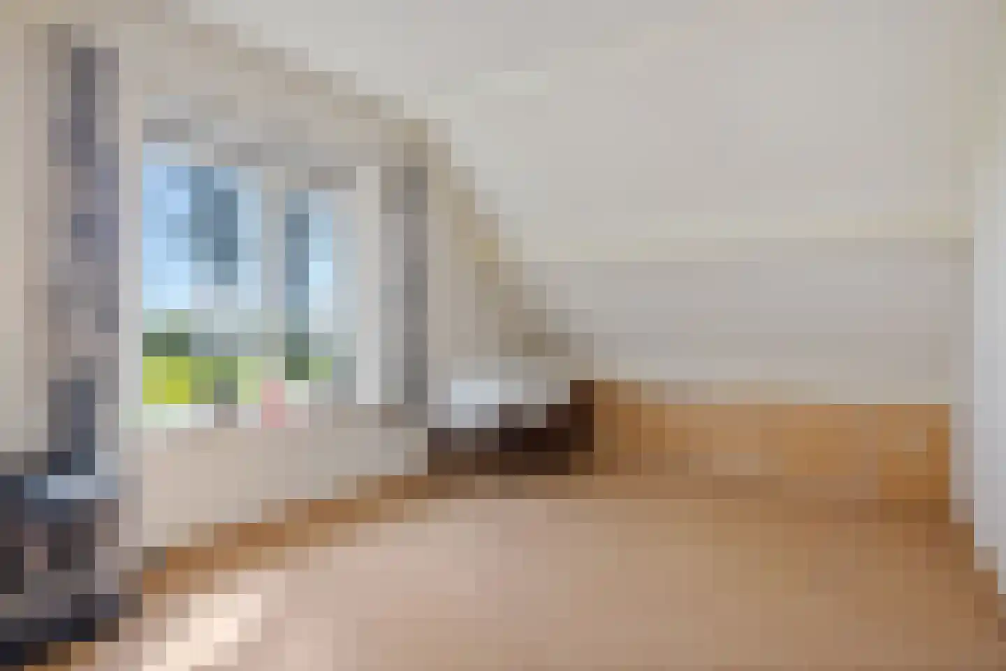 Sappemeersterweg 25 Noordbroek thumbnail 35