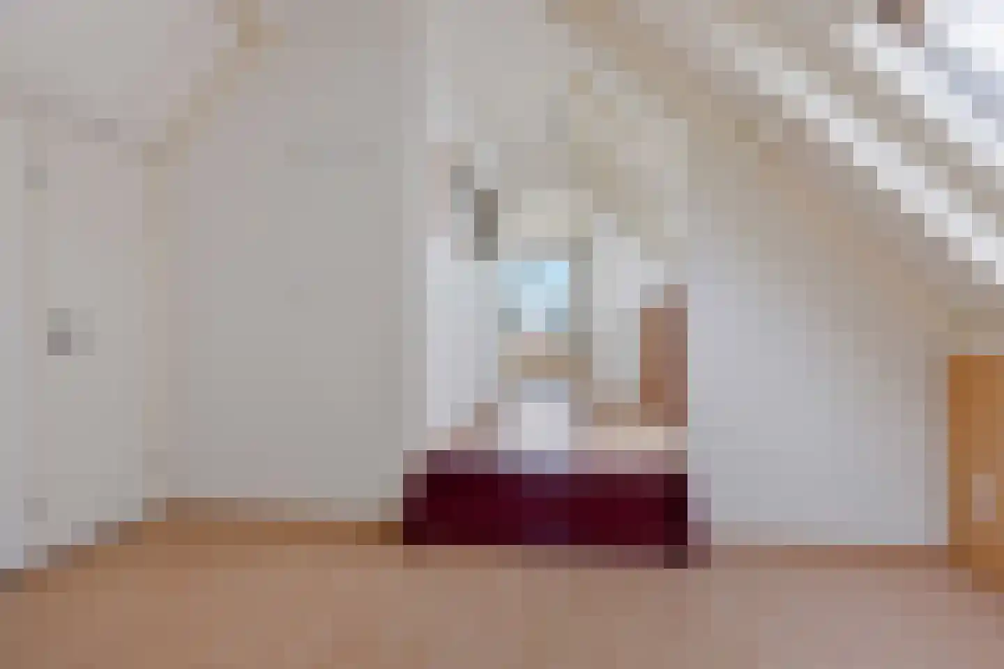 Sappemeersterweg 25 Noordbroek thumbnail 38