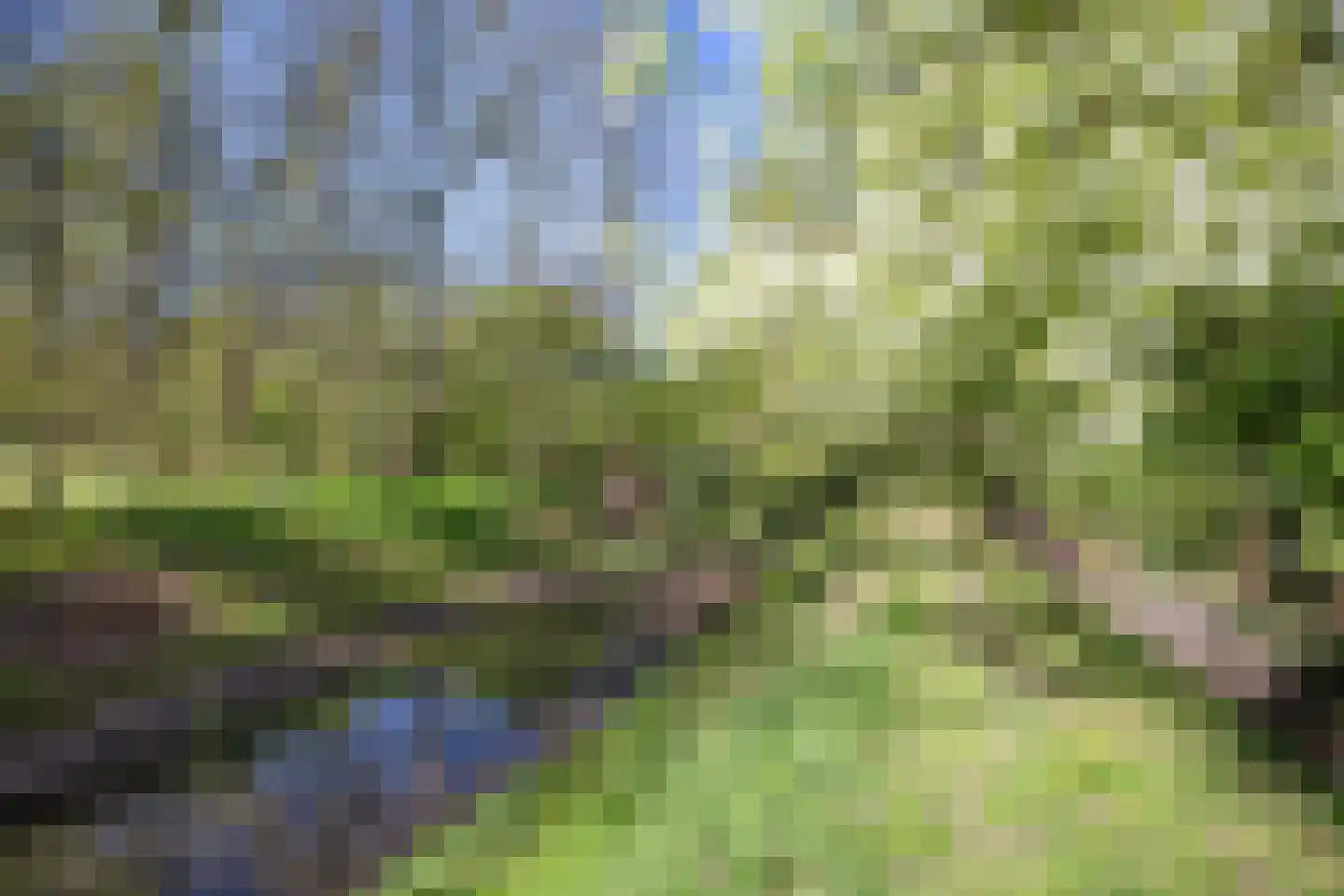 Sappemeersterweg 25 Noordbroek thumbnail 4