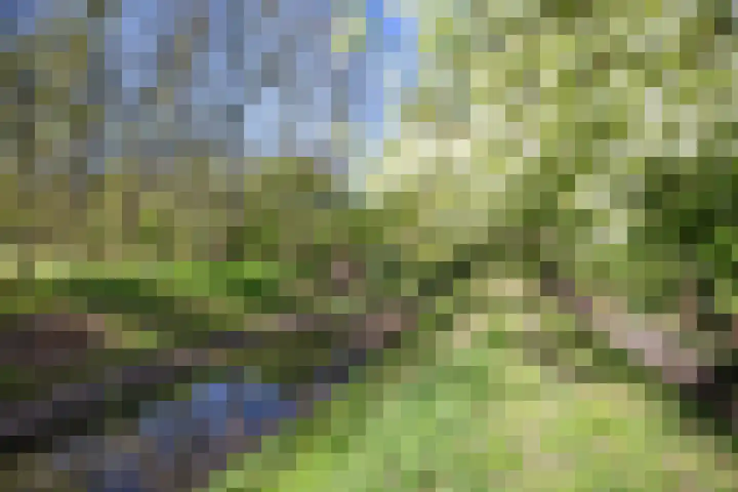 Sappemeersterweg 25 Noordbroek thumbnail 4
