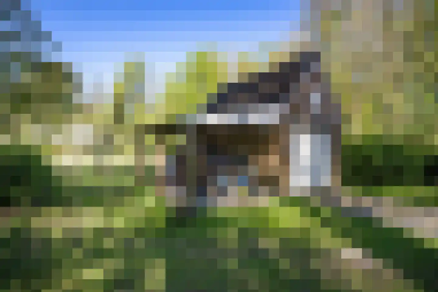 Sappemeersterweg 25 Noordbroek thumbnail 42