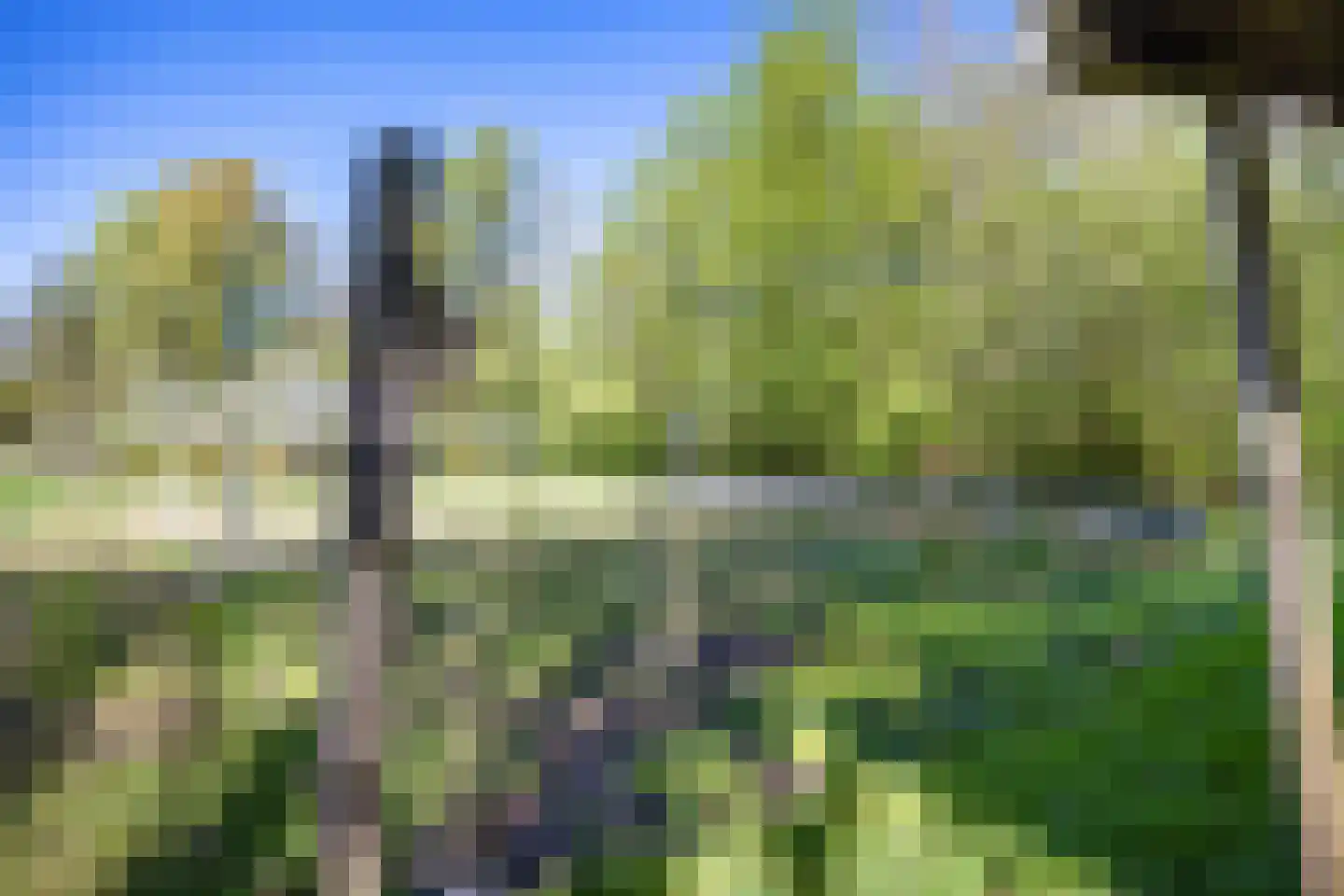 Sappemeersterweg 25 Noordbroek thumbnail 43
