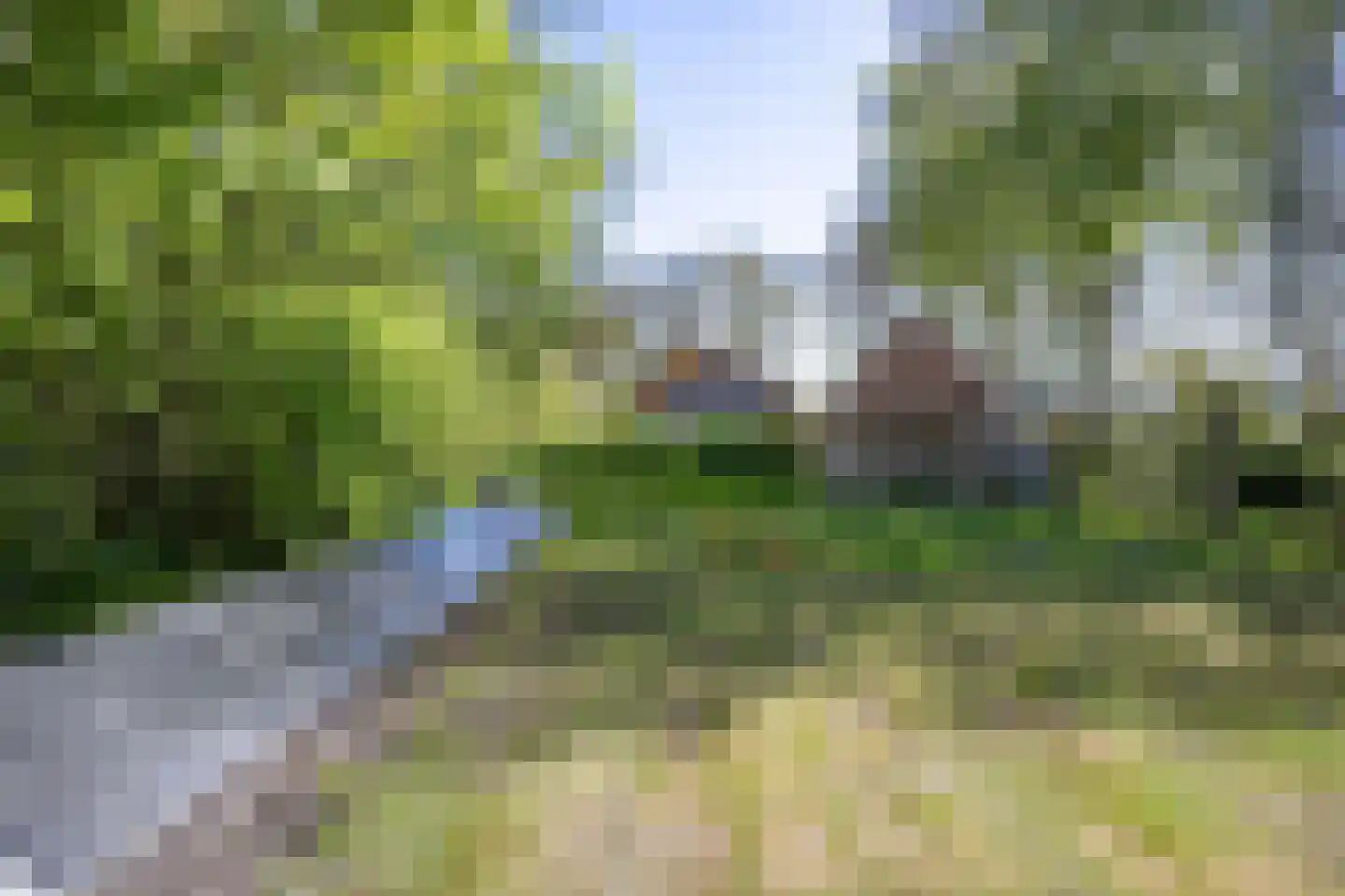 Sappemeersterweg 25 Noordbroek thumbnail 44
