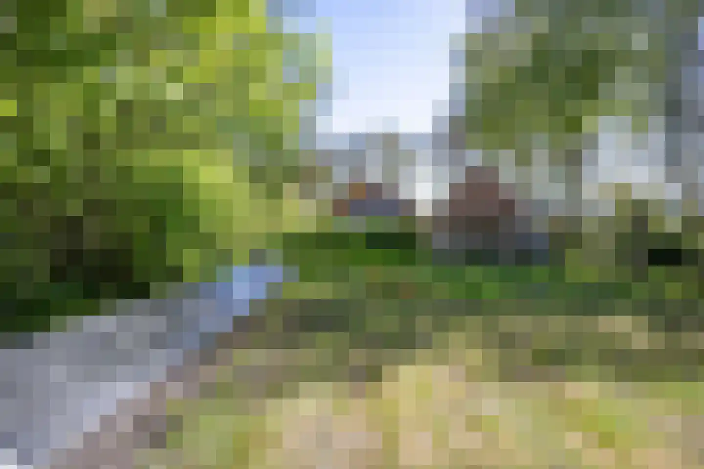 Sappemeersterweg 25 Noordbroek thumbnail 44