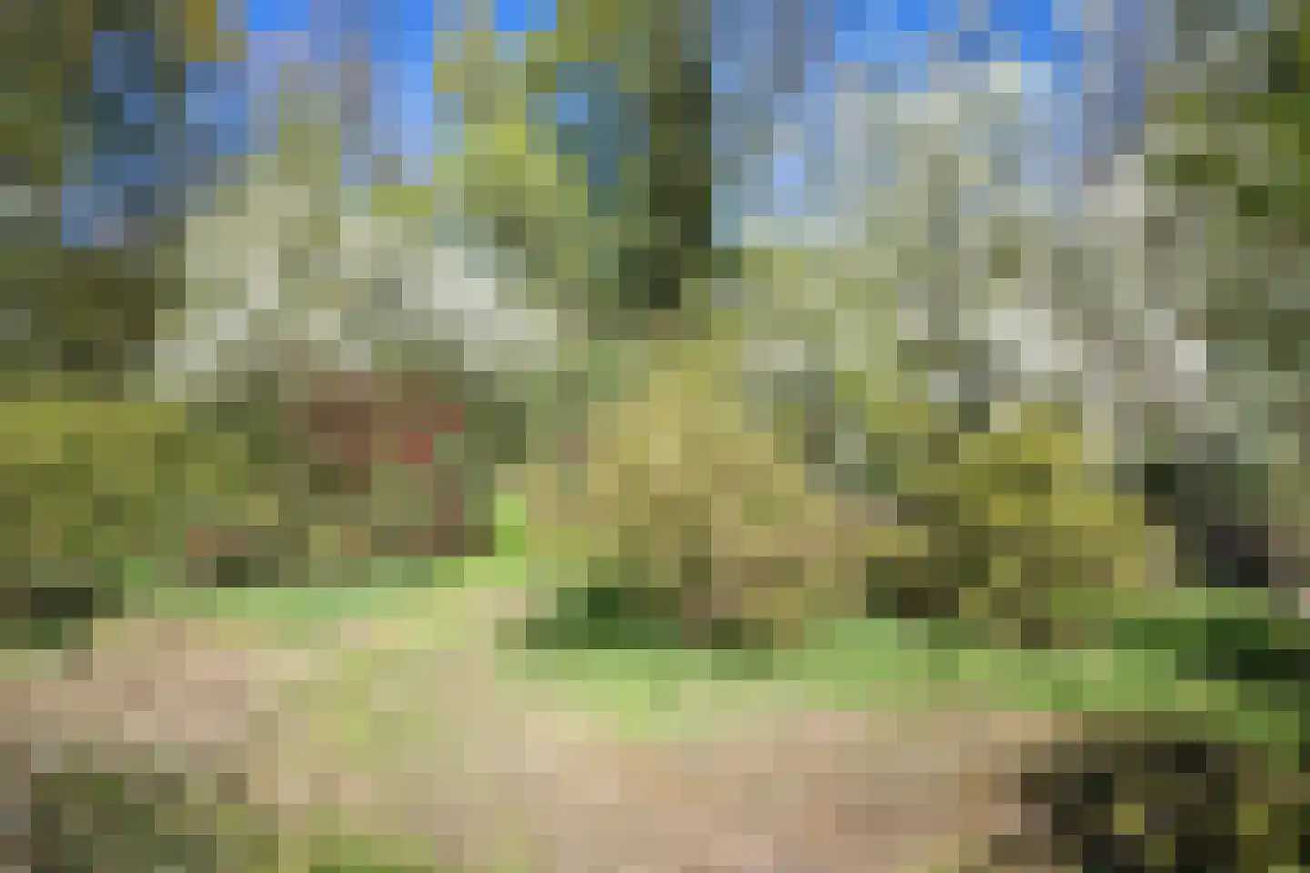 Sappemeersterweg 25 Noordbroek thumbnail 45